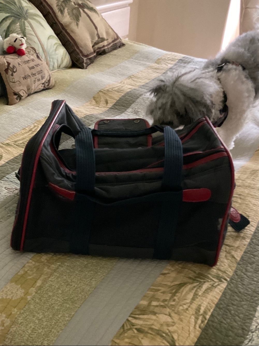 Pet carrier  navy Duffel Bag with Red Trim and Navy Handles